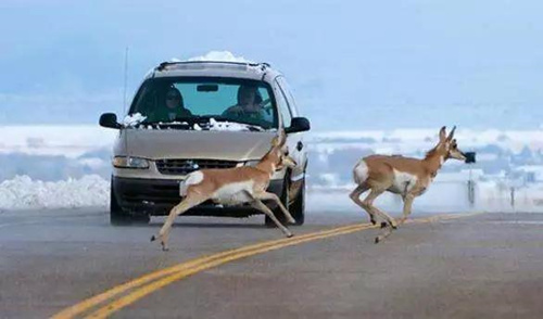 西安汽車陪練,輕松上路,陪練,陪駕,西安輕松上路汽車陪練公司